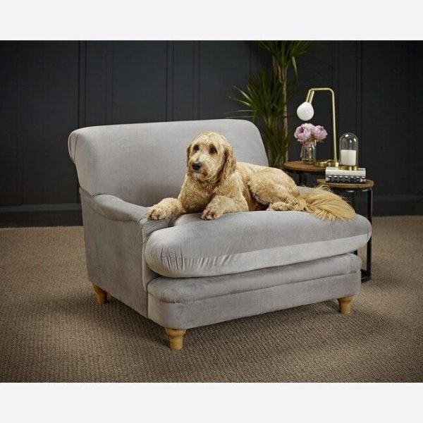 Plumpton Grey Chair Upholstered in luxurious plush soft velvet COLLECT